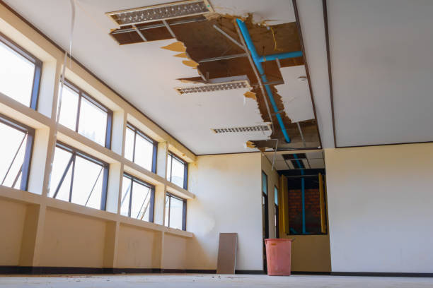 Best Basement water damage restoration  in West Freehold, NJ