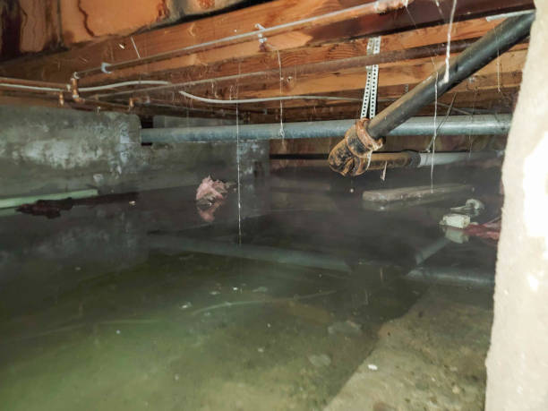 Best Residential water damage restoration  in West Freehold, NJ