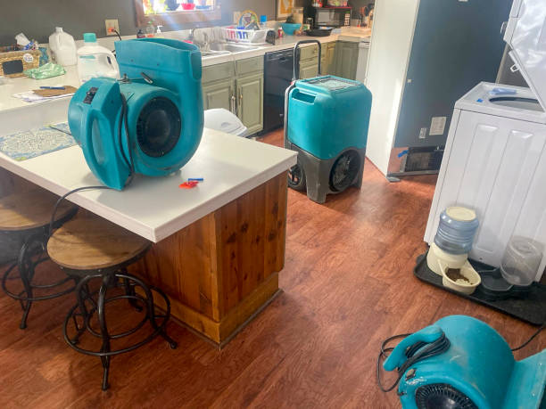 Best Local water damage restoration  in West Freehold, NJ
