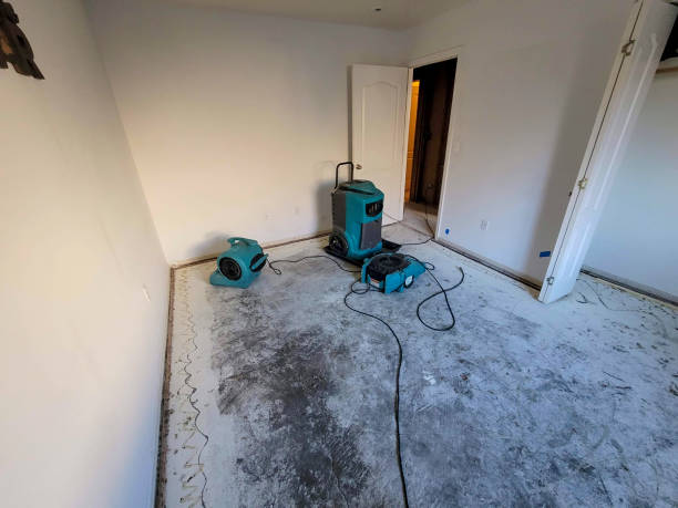 West Freehold, NJ Water damage restoration Company