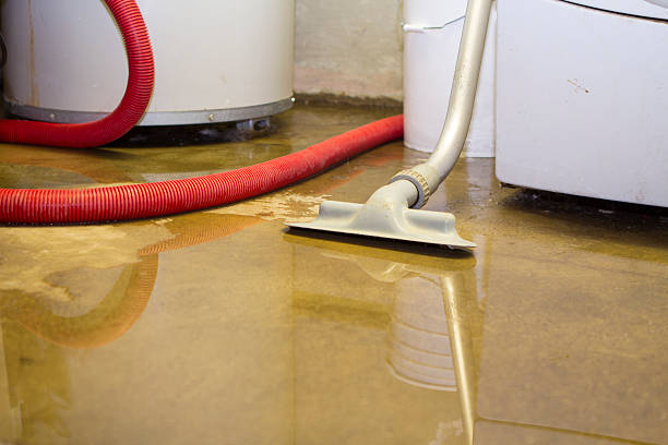 Best Mold removal after water damage  in West Freehold, NJ