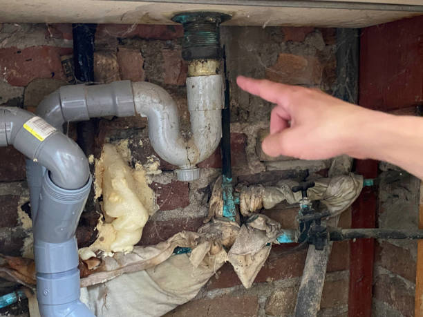 Best Mold removal after water damage  in West Freehold, NJ