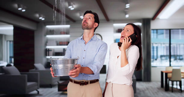 Best Flooded house restoration  in West Freehold, NJ