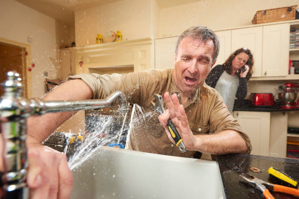 Best Water damage mitigation services  in West Freehold, NJ